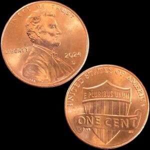 2024d Lincoln Shield Cent Stike Though Error DDO Doubled Ear Variety Coin READ